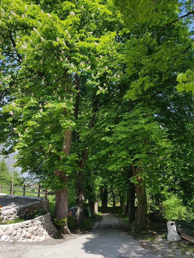 Villa Im Wald รอสเฮาป์เทิน ภายนอก รูปภาพ
